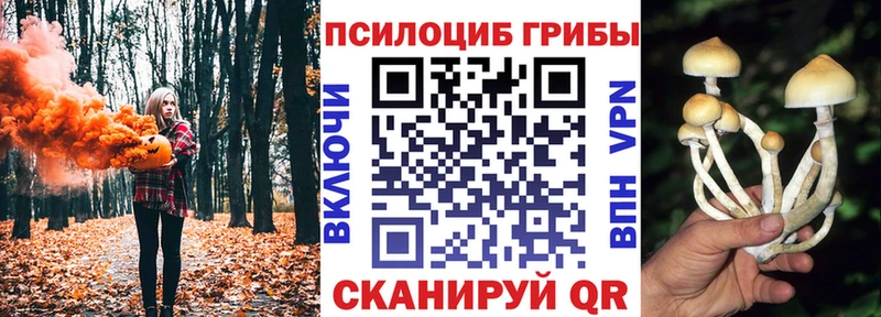 Псилоцибиновые грибы Magic Shrooms Кулебаки