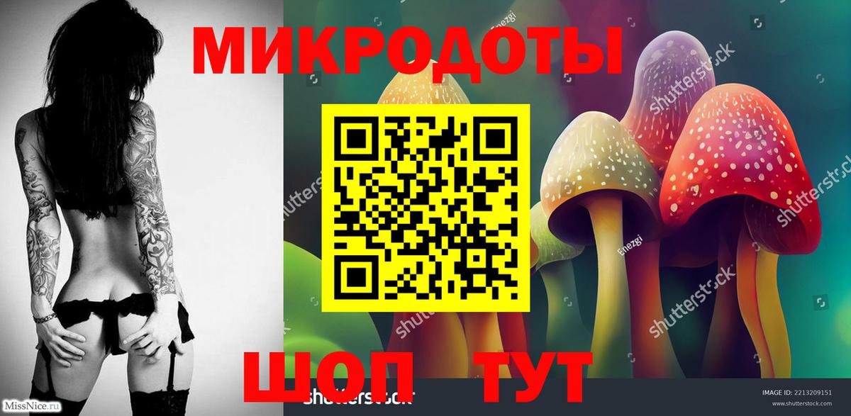 Кулебаки  Галлюциногенные грибы прущие грибы  Вход с VPN 