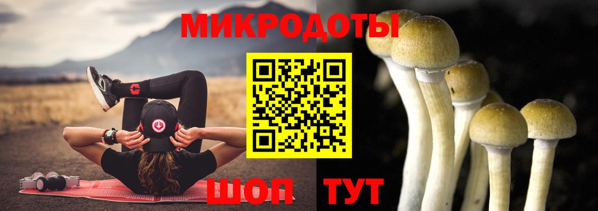 Галлюциногенные грибы мухоморы Кулебаки